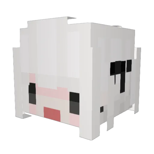 Derzzyboi Minecraft avatar head, 3D render