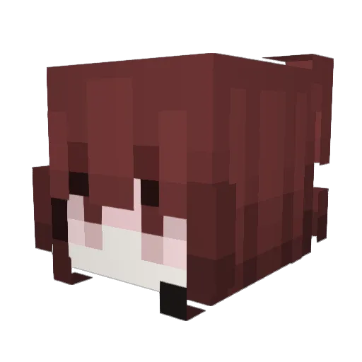 Des0la Minecraft avatar head, 3D render