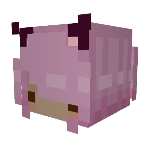 Des0late_gr3y Minecraft avatar head, 3D render