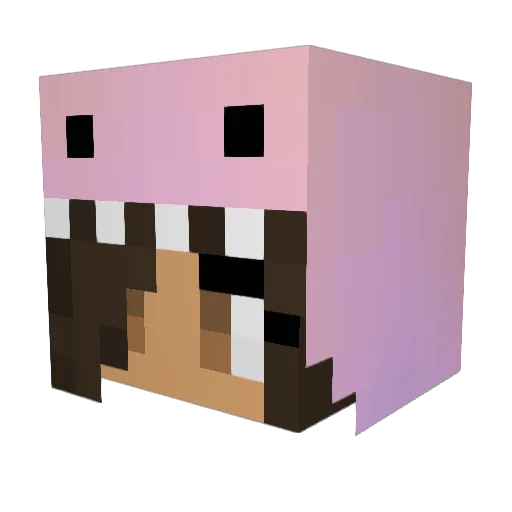 DesMC Minecraft avatar head, 3D render