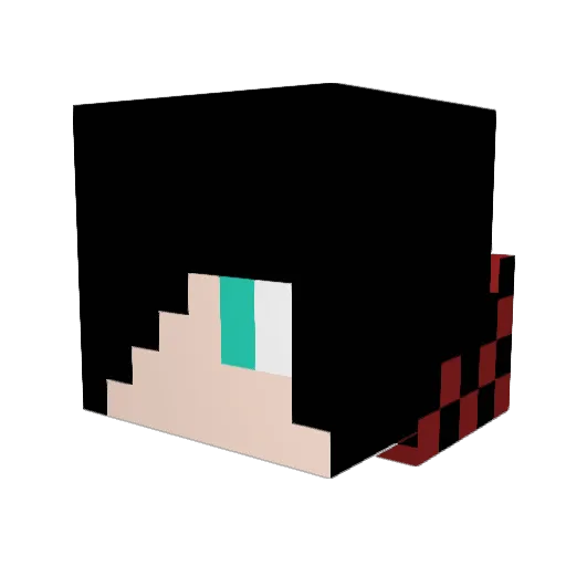 DesTroyerGamerBR Minecraft avatar head, 3D render