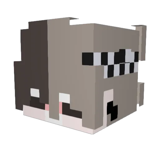 Desafortunado Minecraft avatar head, 3D render