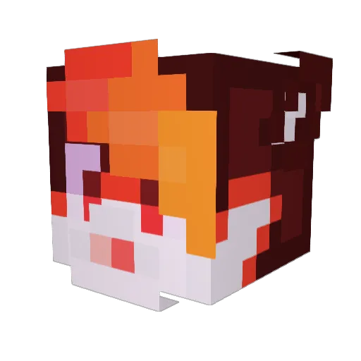 DesangeR Minecraft avatar head, 3D render