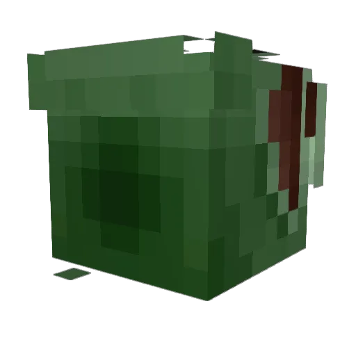 Desann420 Minecraft avatar head, 3D render