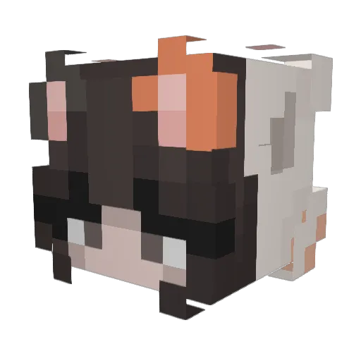 Desastr3 Minecraft avatar head, 3D render