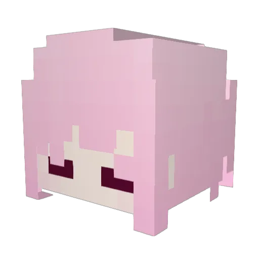 Desastre_ Minecraft avatar head, 3D render