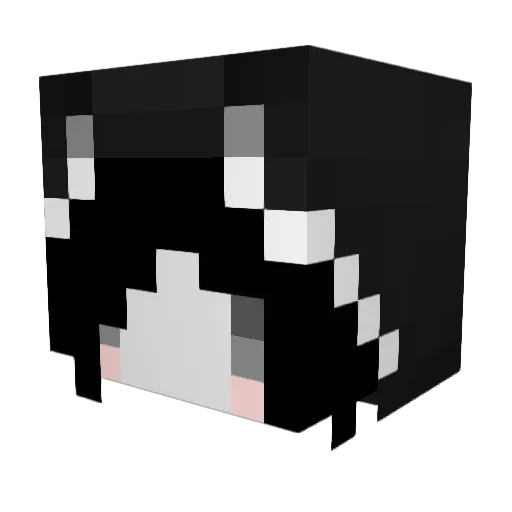 Desconocida Minecraft avatar head, 3D render