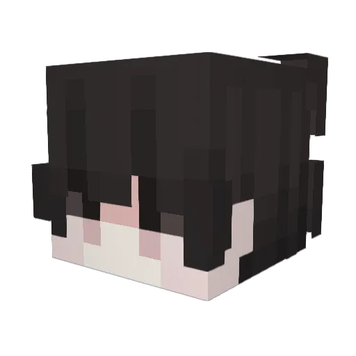 Descriptor Minecraft avatar head, 3D render