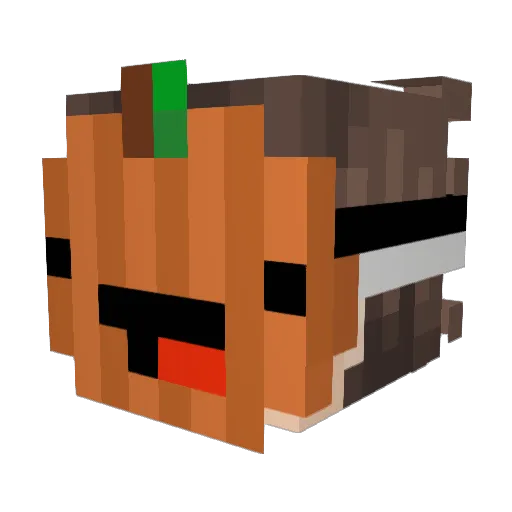 Desdr0 Minecraft avatar head, 3D render