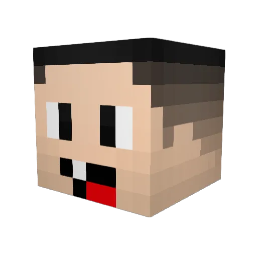 DesertFS_ Minecraft avatar head, 3D render