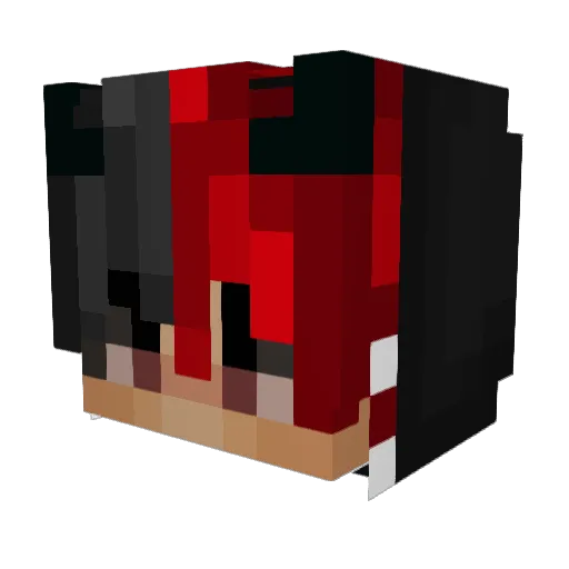 DesertIsland4563 Minecraft avatar head, 3D render