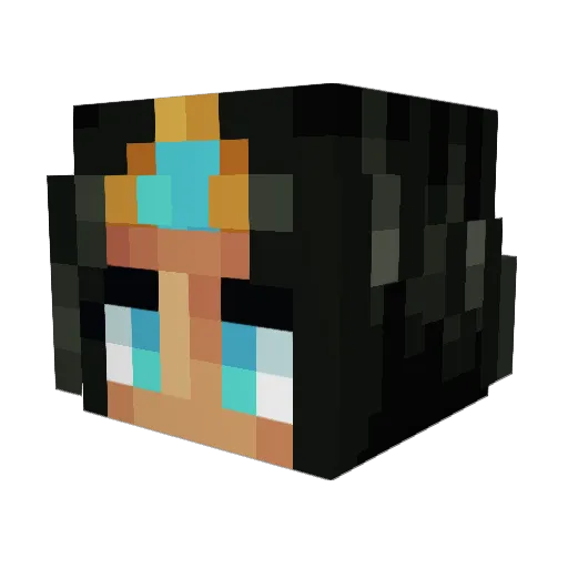 DesertedNarwhal Minecraft avatar head, 3D render