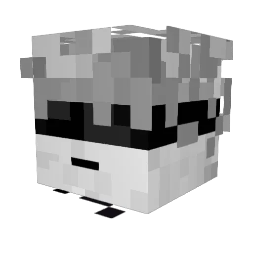 Deserted_911 Minecraft avatar head, 3D render