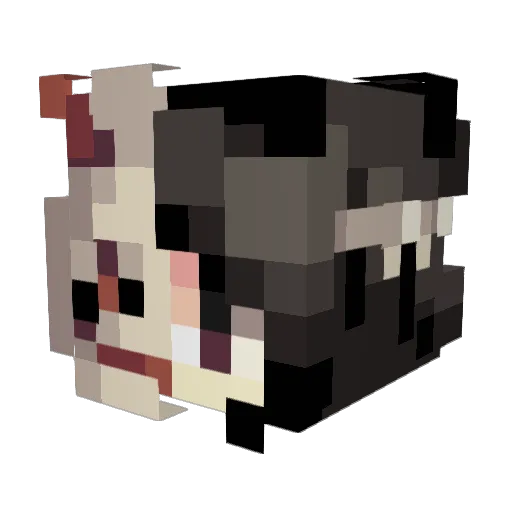 Desertfox320 Minecraft avatar head, 3D render
