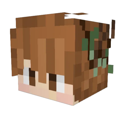 Desertfrog27 Minecraft avatar head, 3D render