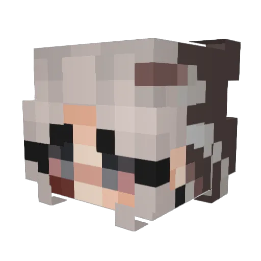 Desesperadamente Minecraft avatar head, 3D render