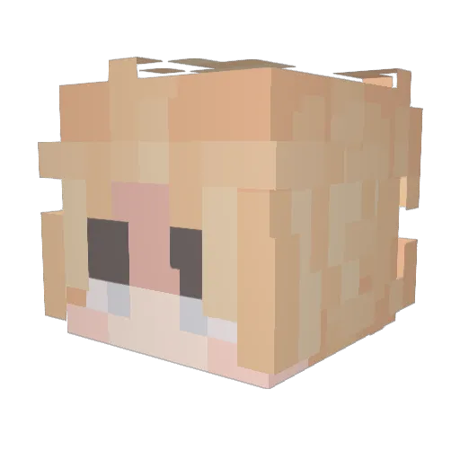 Desheetos Minecraft avatar head, 3D render