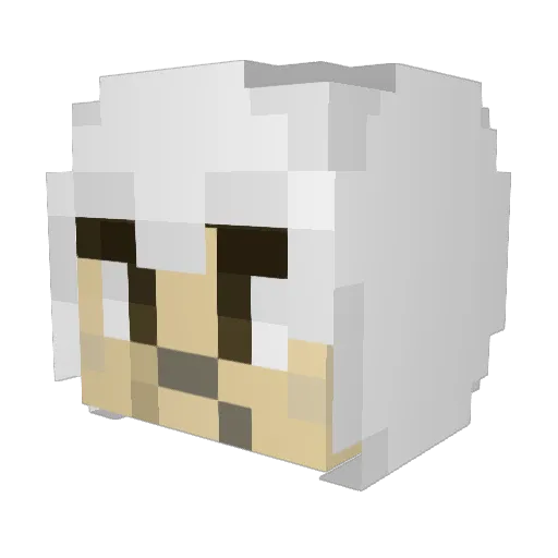 Desi2012 Minecraft avatar head, 3D render