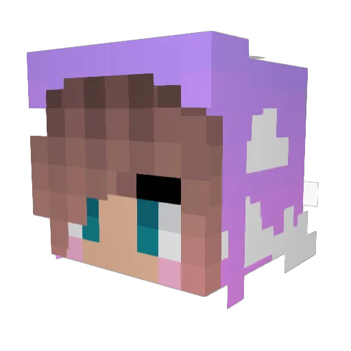 Desiderata_ Minecraft avatar head, 3D render