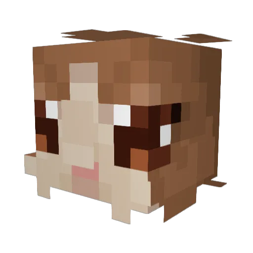 DesignedPlot51 Minecraft avatar head, 3D render