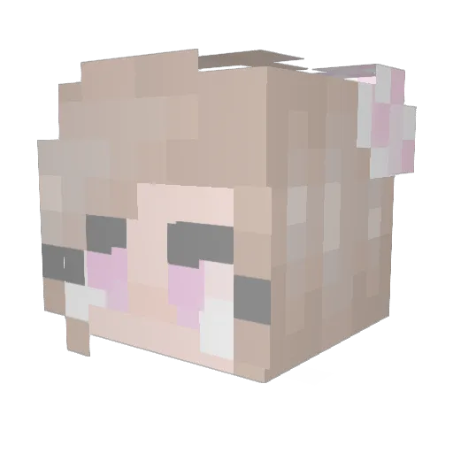 Desilvy Minecraft avatar head, 3D render