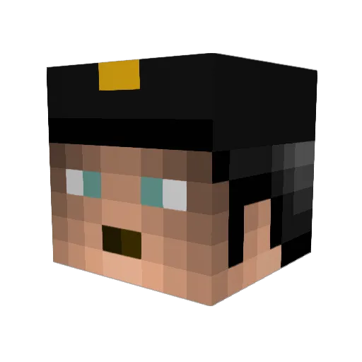 Desinfektor Minecraft avatar head, 3D render