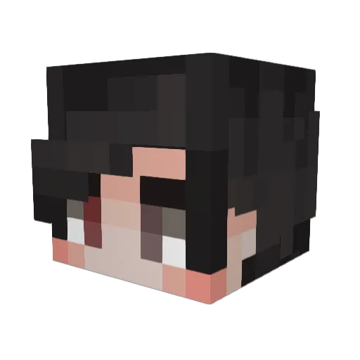 DesireShower Minecraft avatar head, 3D render