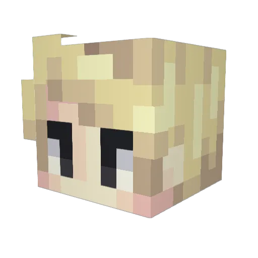 DesiredKnowledge Minecraft avatar head, 3D render