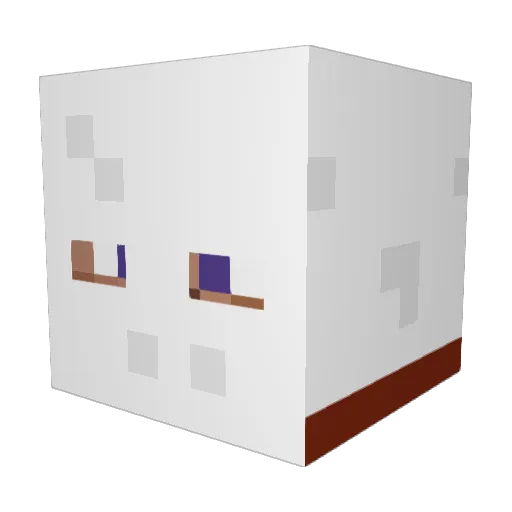 DesiredNameLOL Minecraft avatar head, 3D render