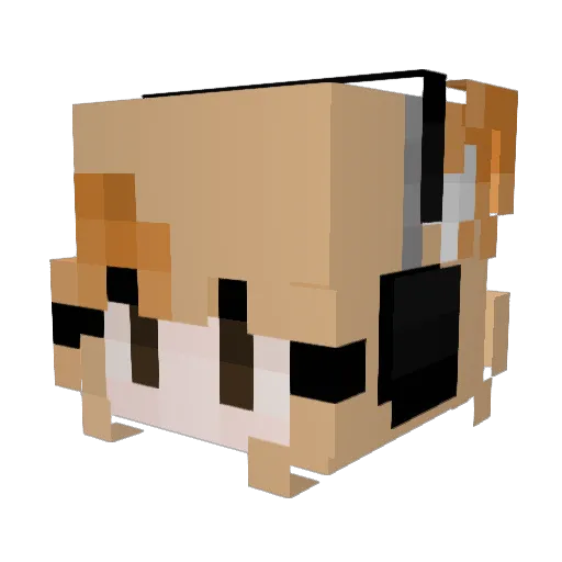 Desje_LT Minecraft avatar head, 3D render