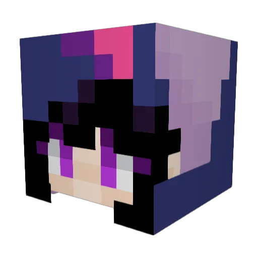 DesktopGoose101 Minecraft avatar head, 3D render