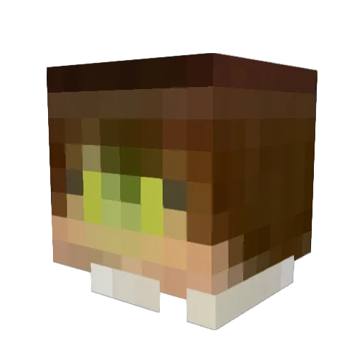 Desky1 Minecraft avatar head, 3D render