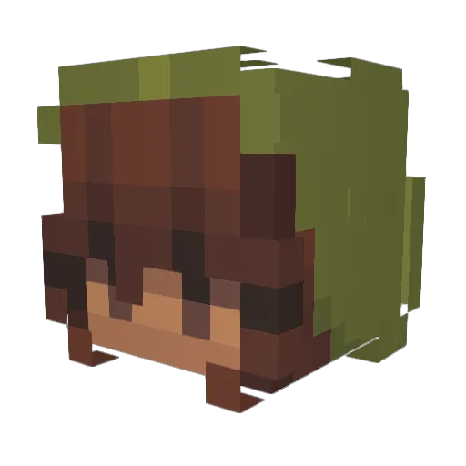 DesolatteNA Minecraft avatar head, 3D render