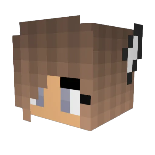 Dess00 Minecraft avatar head, 3D render