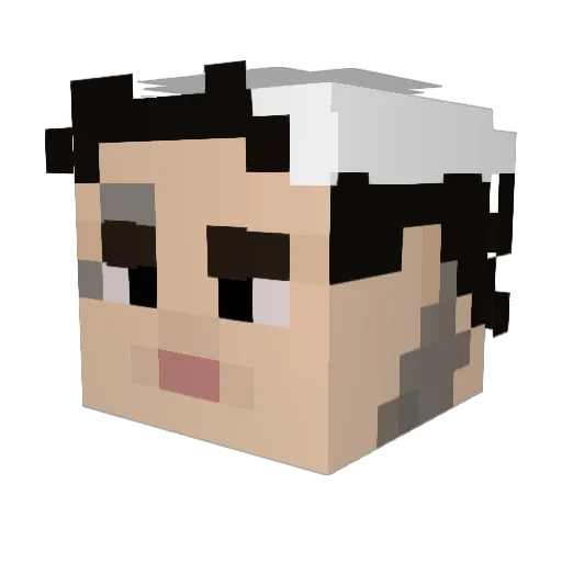 Dessssey Minecraft avatar head, 3D render