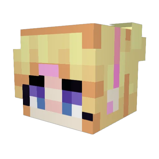 Desteny456 Minecraft avatar head, 3D render