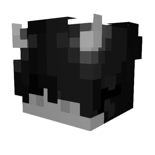 Dester507 Minecraft avatar head, 3D render