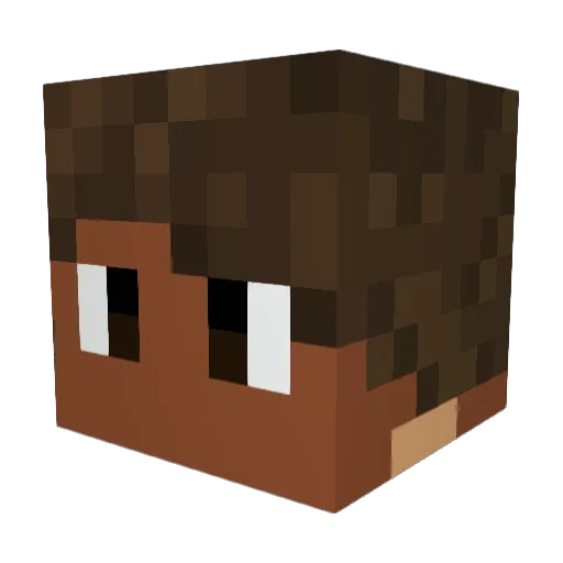 Desticod Minecraft avatar head, 3D render