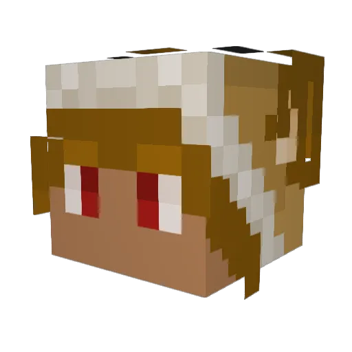 Destined02 Minecraft avatar head, 3D render