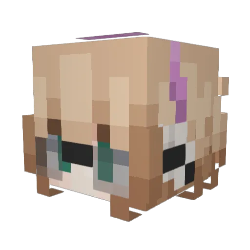 DestinedPetal Minecraft avatar head, 3D render