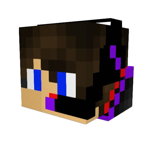 Destined_PvP2004 Minecraft avatar head, 3D render