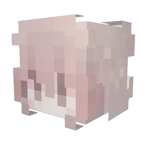 Destiny080925 Minecraft avatar head, 3D render