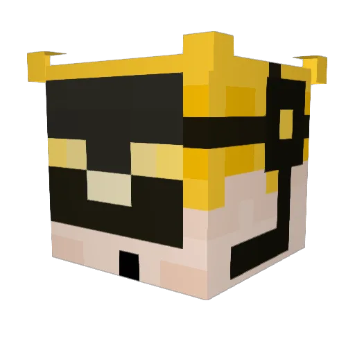 Destiny97987 Minecraft avatar head, 3D render