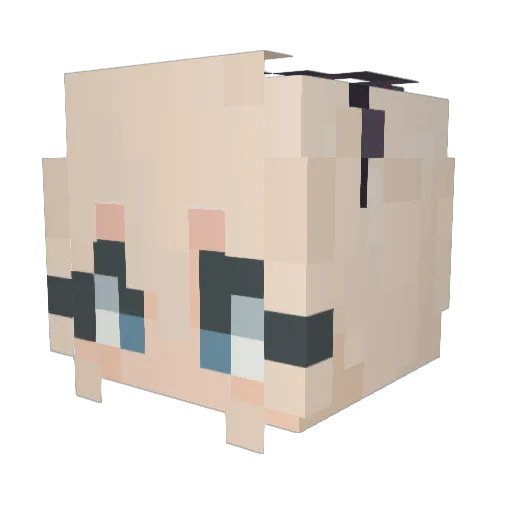 DestinyFaller Minecraft avatar head, 3D render