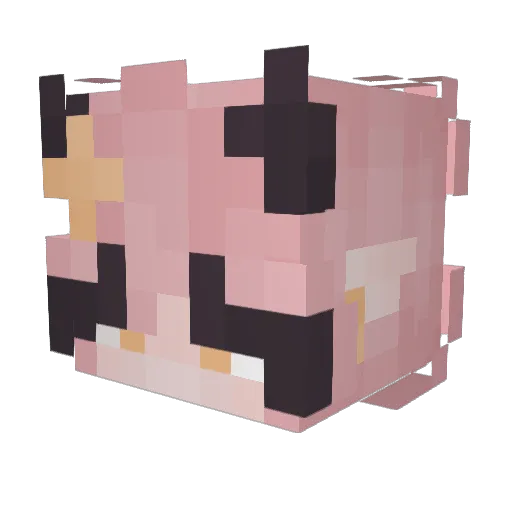 DestinyOfDragon Minecraft avatar head, 3D render