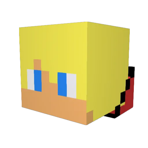 DestinyPirate4 Minecraft avatar head, 3D render