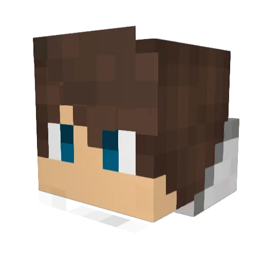 DestinyRick Minecraft avatar head, 3D render