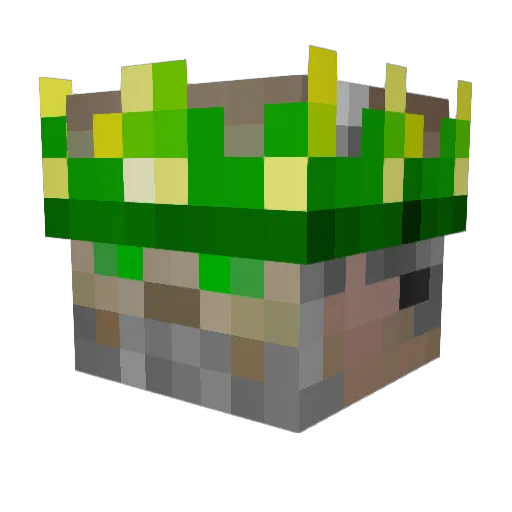 DestinyTurtle Minecraft avatar head, 3D render