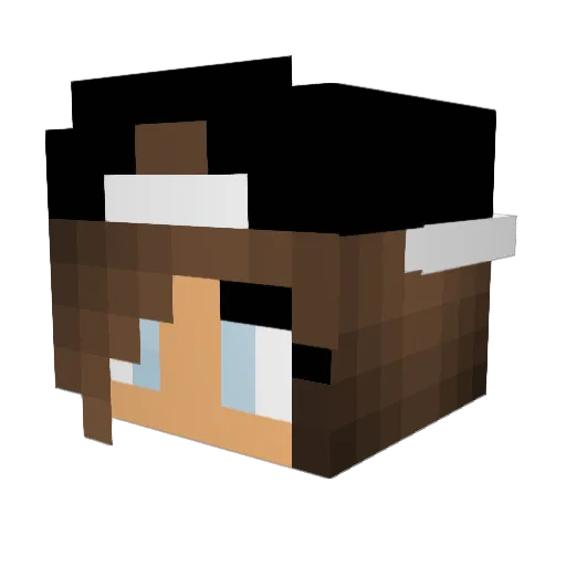 Destiny_Da_Gamer Minecraft avatar head, 3D render