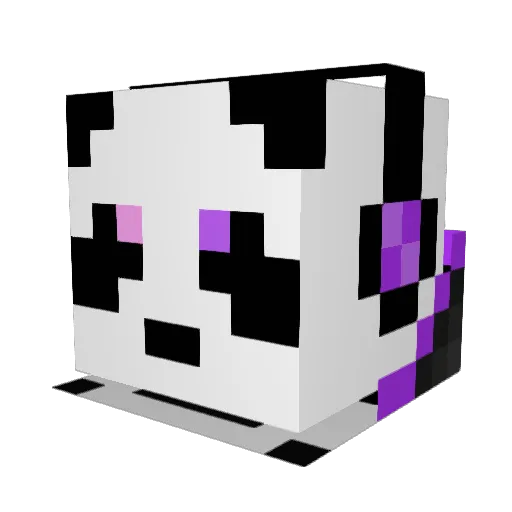 Destiny_Owl Minecraft avatar head, 3D render